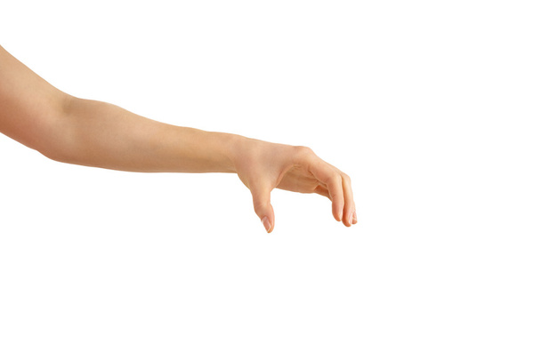 Empty hand on a white background - Фото, изображение