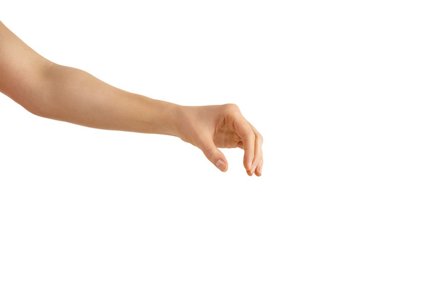 Empty woman hand on a white background in a holding phase - Foto, imagen