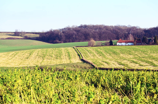 typical landscape of Limburg, Netherlands with house on the hill - Φωτογραφία, εικόνα