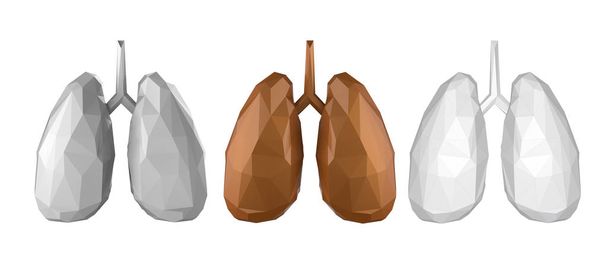 Polygonal lungs isolated - Photo, Image
