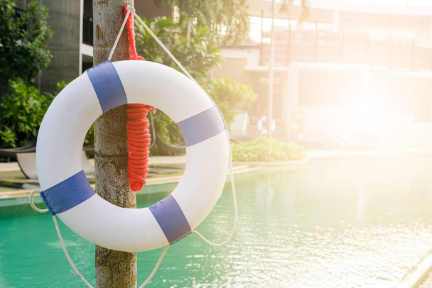 white and blue life buoy hanging near swimming pool - Photo, Image