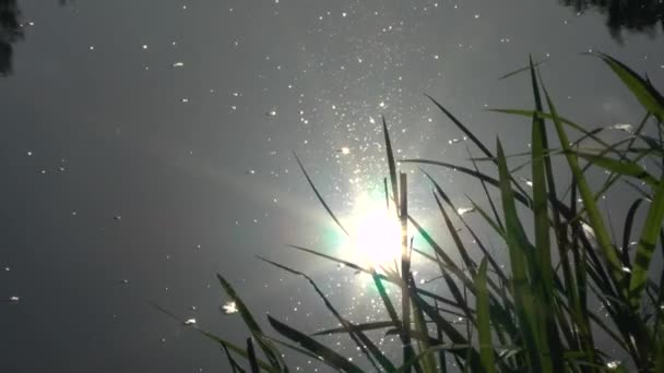 weerspiegeling van een zonlicht in een rivier oppervlak. - Video