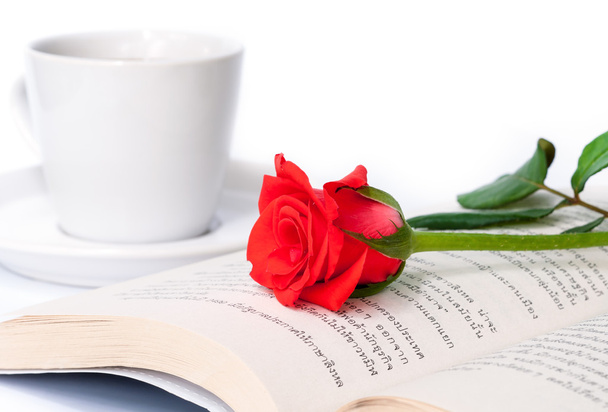 Red rose on the book. - Foto, immagini