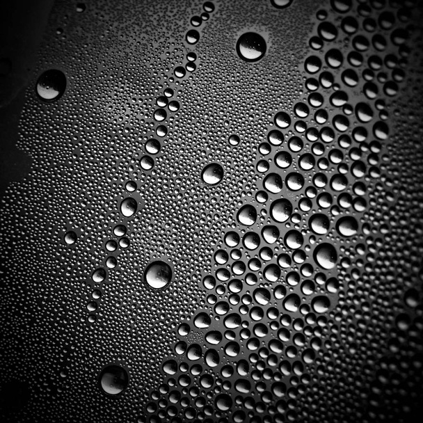 Water drops on black. Abstract texture. - Фото, изображение