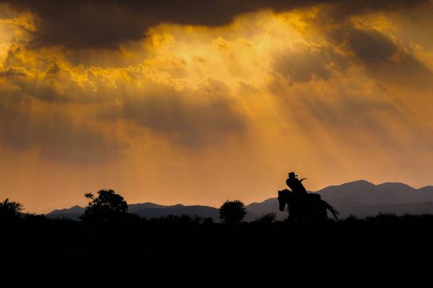 Silueta de vaquero en un caballo durante el atardecer
 - Foto, Imagen