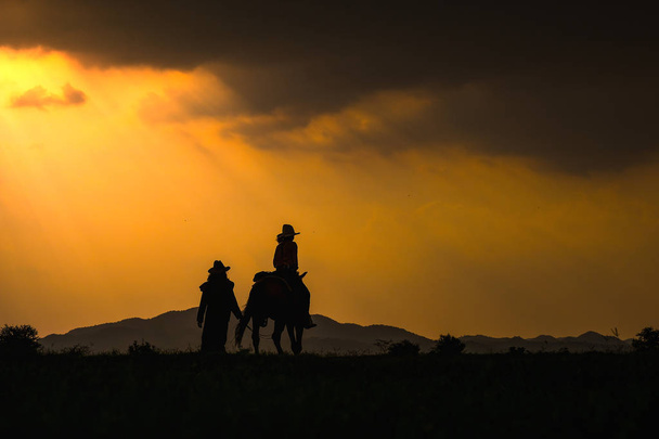 Cowboy silhouette su un cavallo durante bel tramonto
 - Foto, immagini