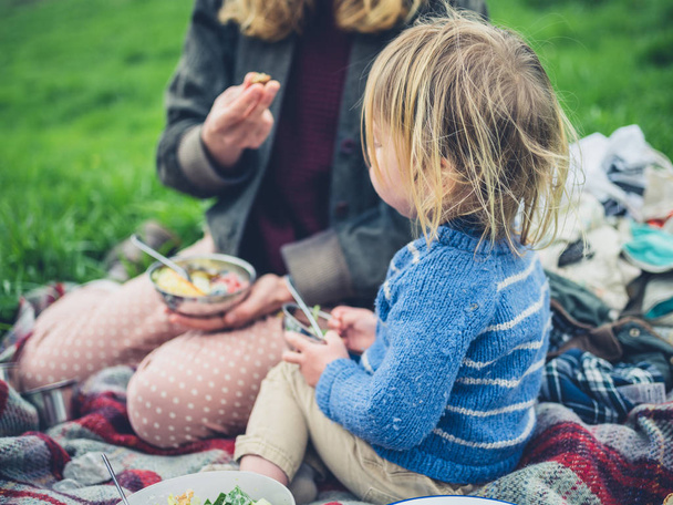 cropped shot of mother and toddler child sitting on picnic rug - Foto, afbeelding