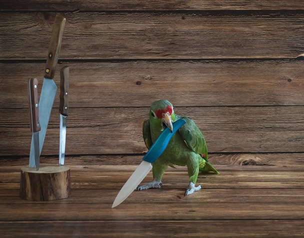 großer grüner Papagei Pirat spielt mit einem Messer. - Foto, Bild