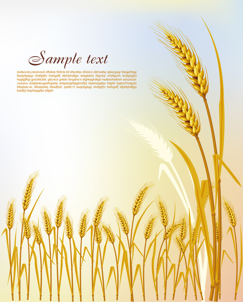 Background with wheat - Vector, Imagen