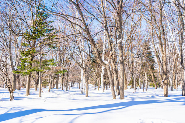 Beautiful landscape with tree in snow winter season for travel at Hokkaido Japan - Photo, image