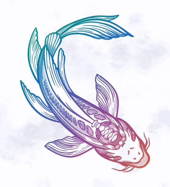 Hand drawn ethnic fish Koi carp - symbol of harmony, wisdom. Vector illustration isolated. Spiritual art for tattoo. Beautifully detailed, serene. - Vetor, Imagem