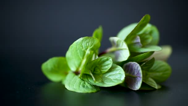 bunch of fresh green mint on black background - Filmmaterial, Video
