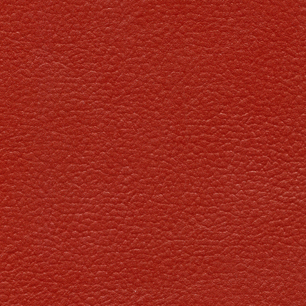 leather texture - Photo, image