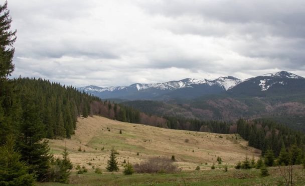 Repos dans les Carpates, Randonnée dans les montagnes Gorgany
  - Photo, image