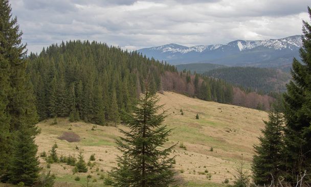 Odpočívej v Karpatech, pěší turistika v horách Gorgany  - Fotografie, Obrázek