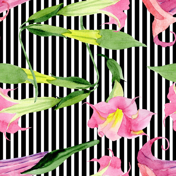 Rosa brugmansia fiori botanici floreali. Acquerello sfondo illustrazione set. Modello di sfondo senza soluzione di continuità
. - Foto, immagini
