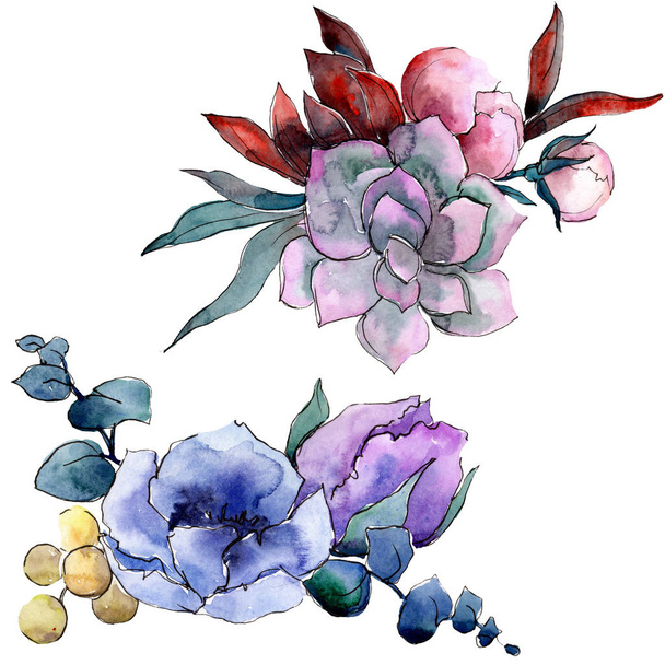 Csokor virágos botanikus virágok. Akvarell háttér illusztráció meg. Lehántott csokrok illusztrációs elem. - Fotó, kép