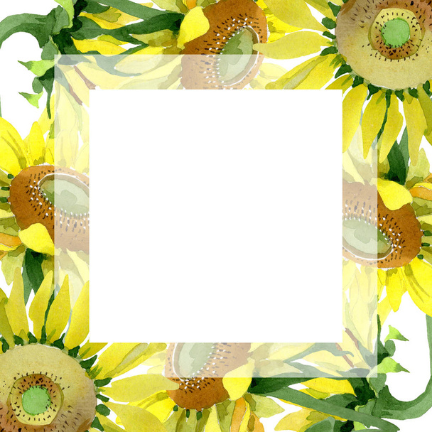Sunflower floral botanical flowers. Watercolor background illustration set. Frame border ornament square. - Фото, зображення