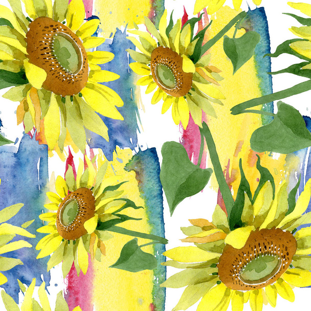 Girassol flores botânicas florais. Conjunto de ilustração de fundo aquarela. Padrão de fundo sem costura
. - Foto, Imagem