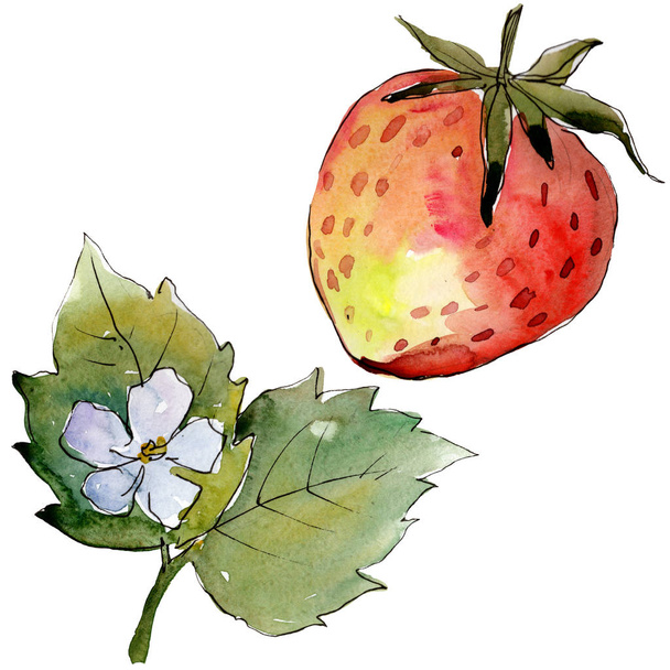 Υγιεινά φαγητά φράουλας. Σύνολο εικονογράφησης φόντου. Μεμονωμένο στοιχείο απεικόνισης μούρων. - Φωτογραφία, εικόνα
