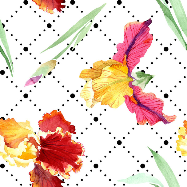 Red Bold encounter iris floral botanical flowers. Watercolor background illustration set. Seamless background pattern. - 写真・画像