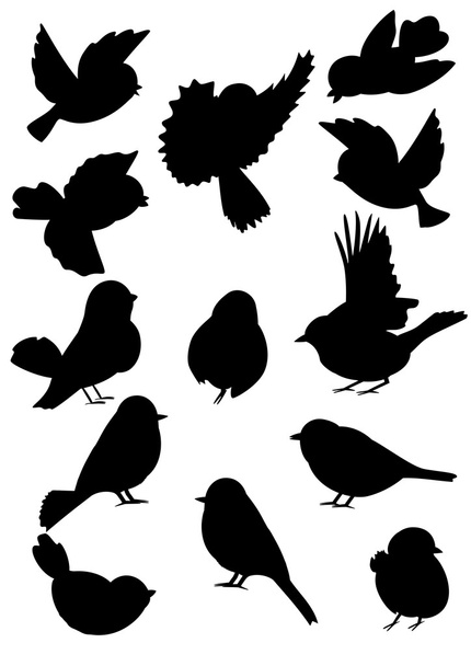 Colección de esquemas de aves
 - Vector, Imagen
