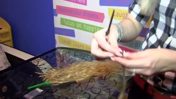 Keratin Hair Extensions. Blonde. Girl - Footage, Video