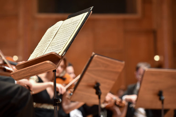 Viool spelers hand detail tijdens Filharmonisch Orkest prestaties - Foto, afbeelding