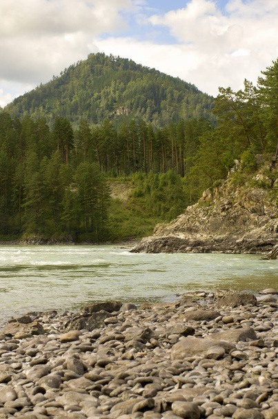 Rocky river Katun and pine summer hills - Zdjęcie, obraz