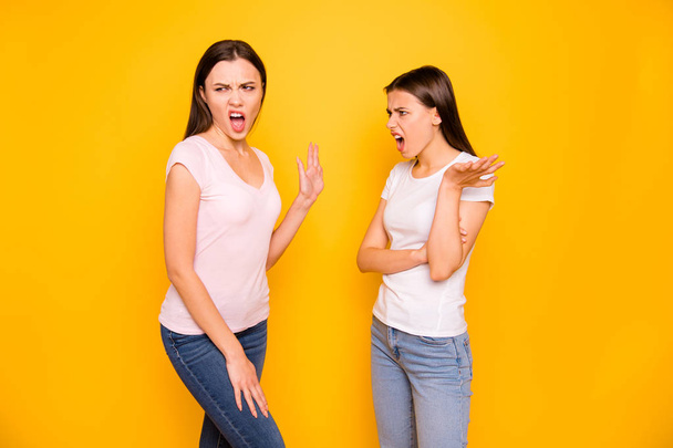 Portrait of nice-looking cute charming attractive irritated annoyed mad straight-haired ladies grimace having fight scandal isolated over bright vivid shine background - Photo, image