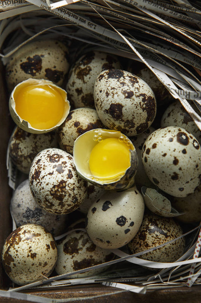 Ovos de codorniz. Composição de postura plana com pequenos ovos de codorna na
 - Foto, Imagem