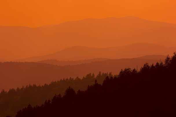 Oranssi sävyjä Great Smoky Mountains
 - Valokuva, kuva