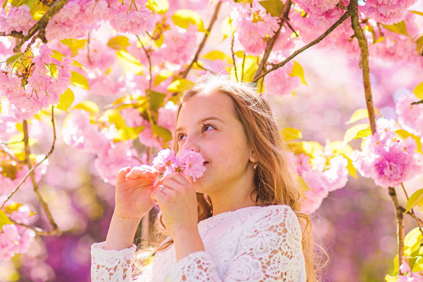 Cute child enjoy aroma of sakura on spring day. Girl on smiling face standing near sakura flowers, defocused. Sweet childhood concept. Girl with long hair outdoor, cherry blossom on background - Фото, зображення