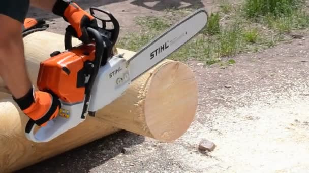 La motosega taglia il tronco di legno
 - Filmati, video