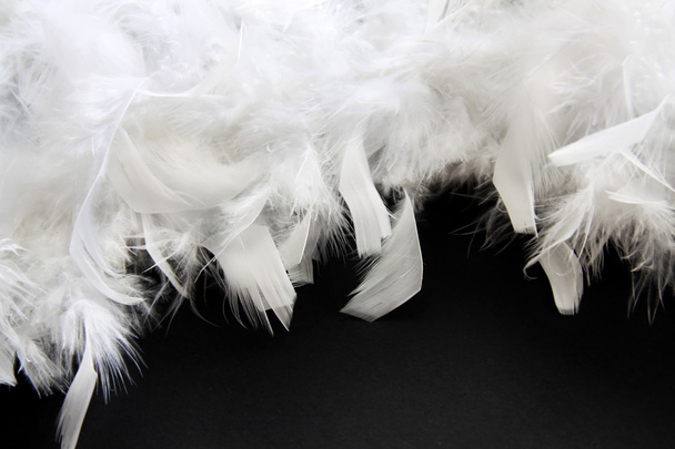 White feather - Foto, Bild