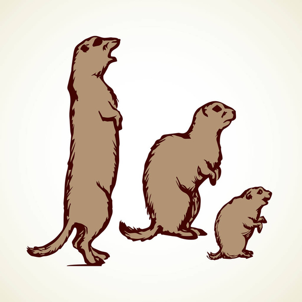 Marmotte. Illustration vectorielle
 - Vecteur, image