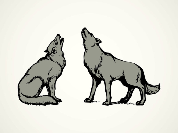 Wolf. Vector tekening - Vector, afbeelding