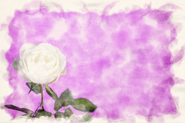 Nahaufnahme von weißer Rose auf rosa Hintergrund - Foto, Bild