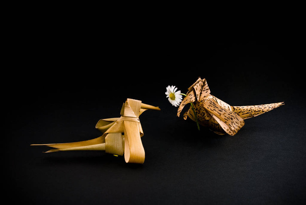 A bird is giving a flower to his love - Fotoğraf, Görsel
