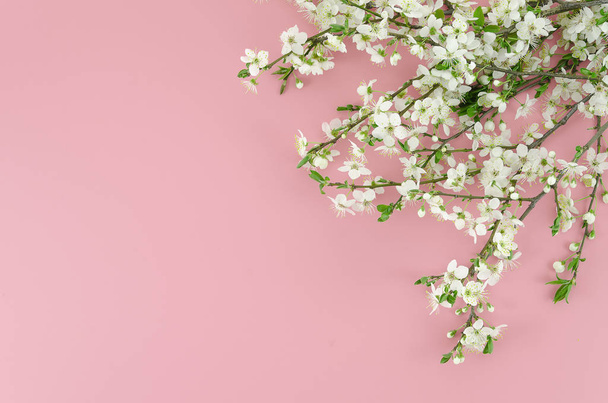 Kesä on tulossa vaaleanpunainen tausta käsite valkoinen kukka oksat kulmassa. Top näkymä kopioi tilaa keskellä
 - Valokuva, kuva