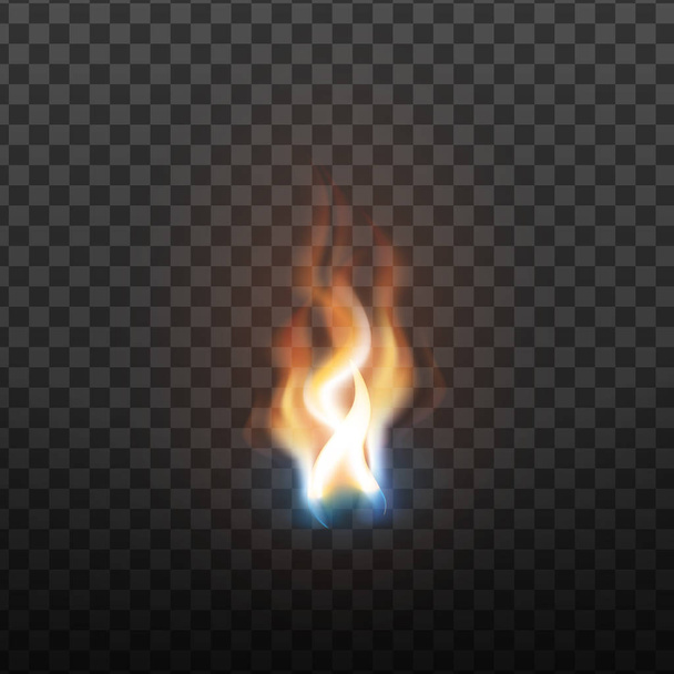 realistische brennende Bürste Feuer Flamme Element Vektor - Vektor, Bild