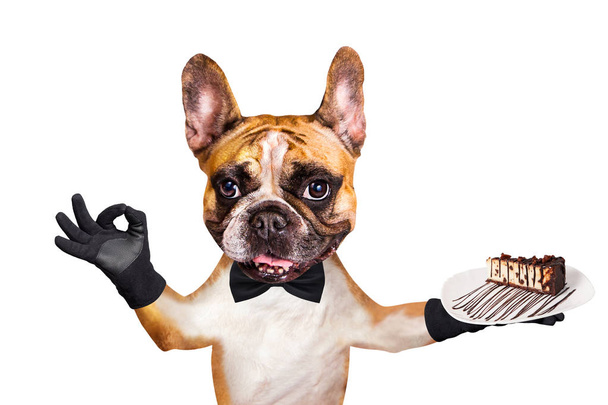смішний собачий імбир французький бульдог офіціант в чорній краватці тримає десертний пиріг на тарілці і показує знак приблизно. Тварина ізольована на білому тлі
 - Фото, зображення