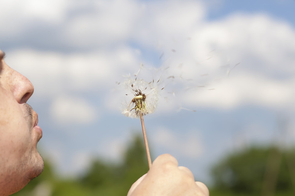 Man blowing dandelion for dispersing seed - Photo, Image