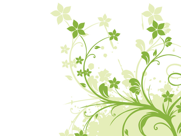 Grunge with green floral - Вектор,изображение