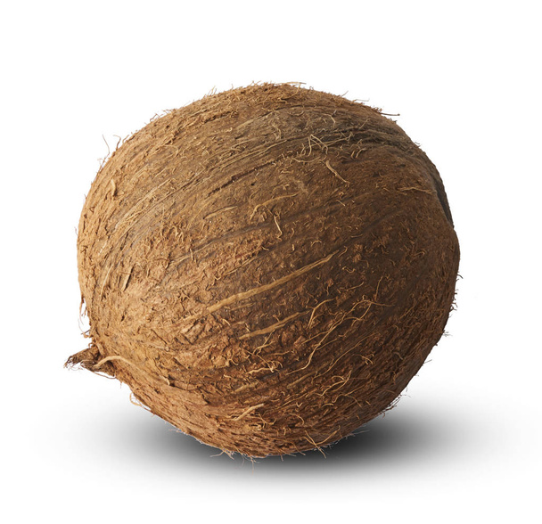 Свіжий стиглий кокос ізольований на білому тлі
 - Фото, зображення
