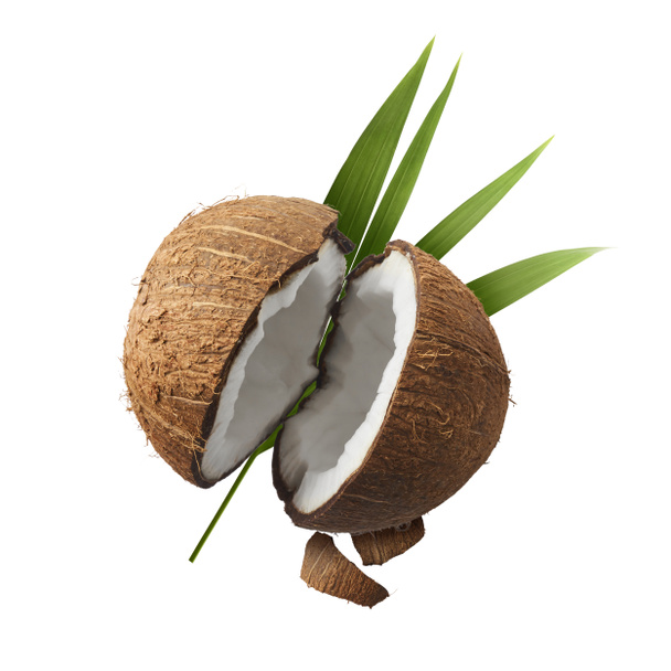 Свіжі стиглі кокоси ізольовані на білому тлі
  - Фото, зображення