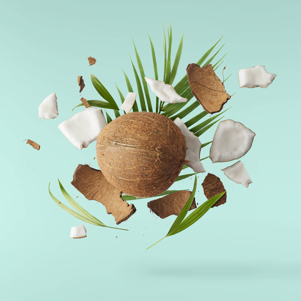 Fresh ripe coconut isolated  - Photo, Image