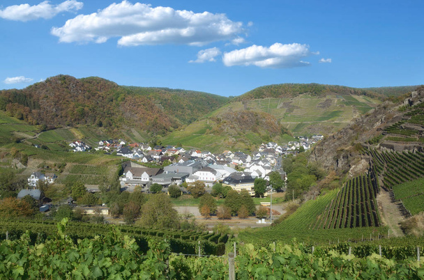 Вино село Mayschoss в Ahrtal поблизу погано Neuenahr-Ahrweiler, Рейнланд-Пфальц, Німеччина - Фото, зображення