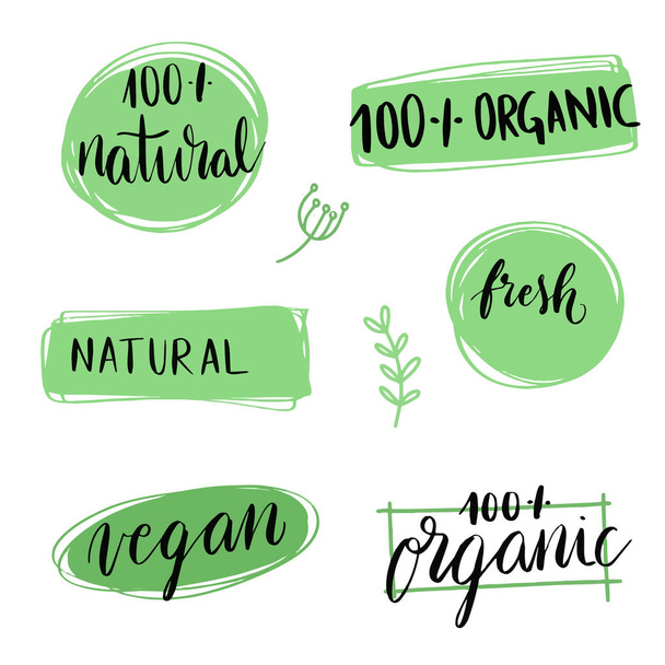 Vector set of hand made graphic elements. Natural product. Organic product. Eco. Vegan. - Vector, Image