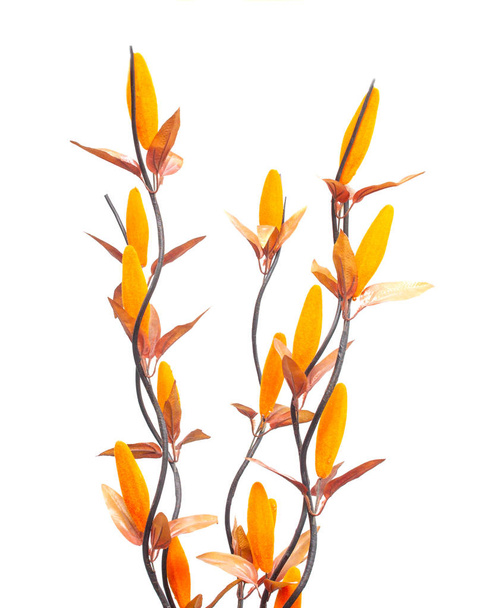 Orange artificial flowers on a white background, isolate - Photo, image